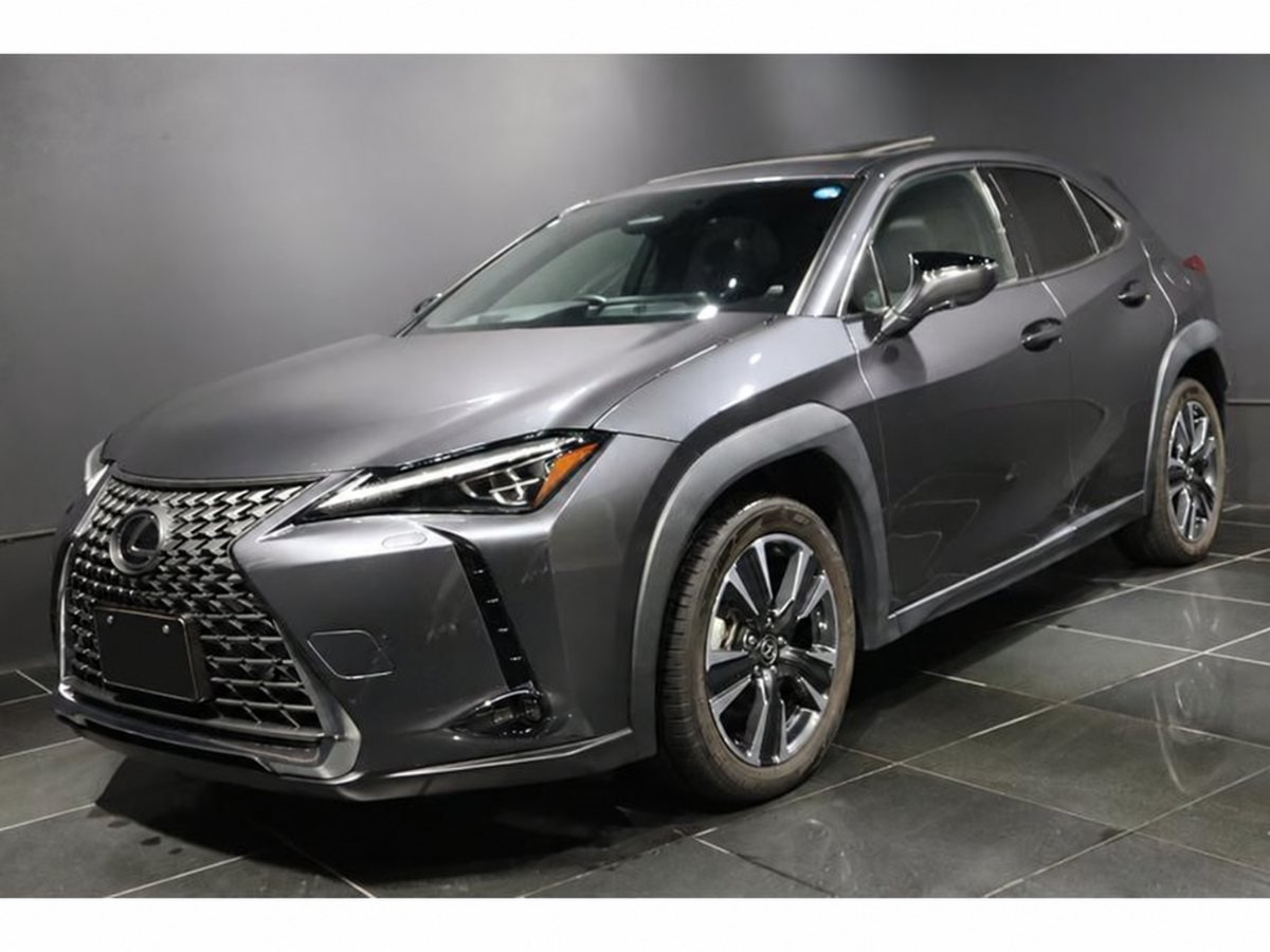2024 Lexus UX