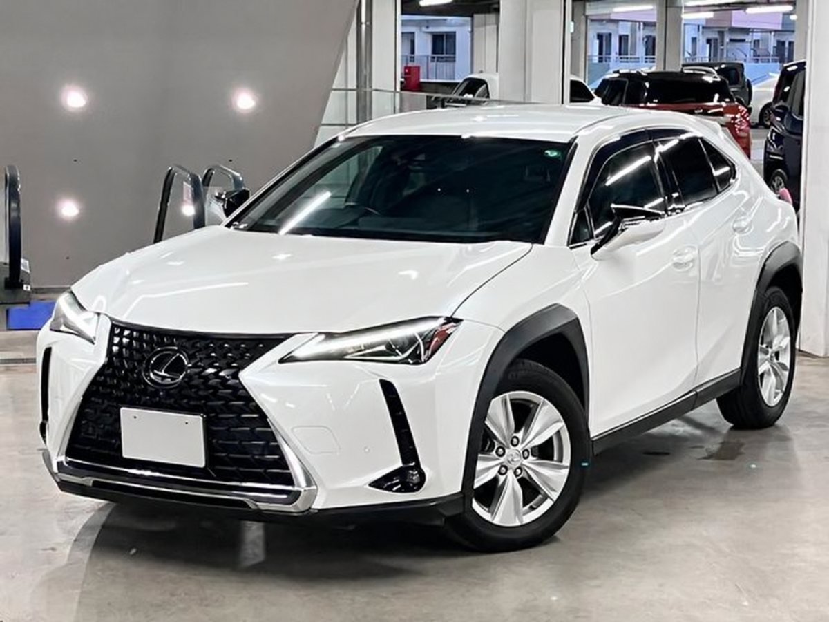 2019 Lexus UX