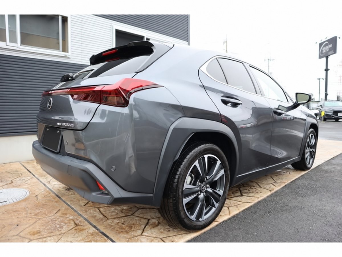 2024 Lexus UX