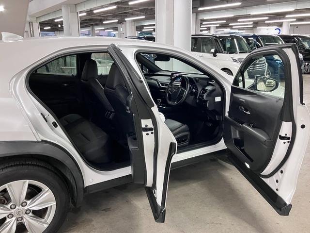 2019 Lexus UX