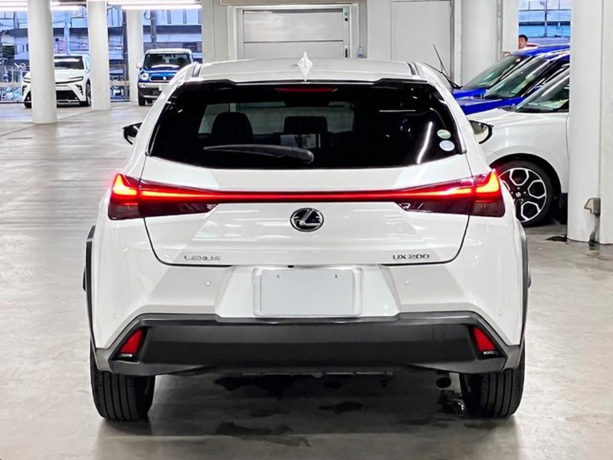 2019 Lexus UX