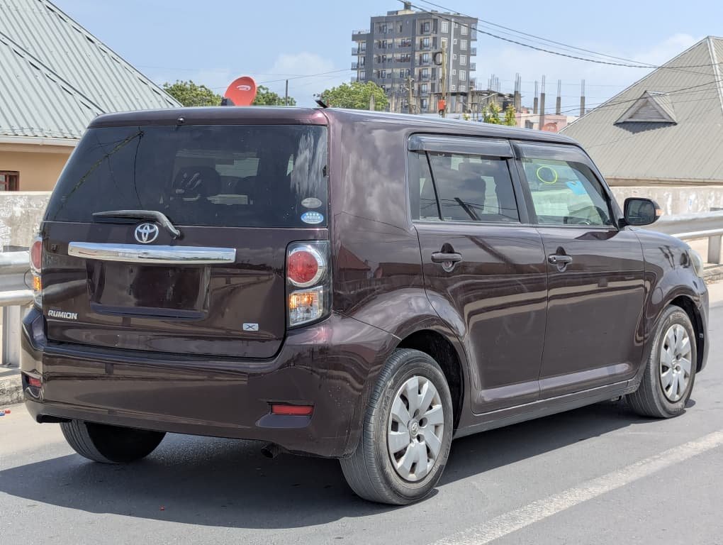 2010 Toyota RUMION