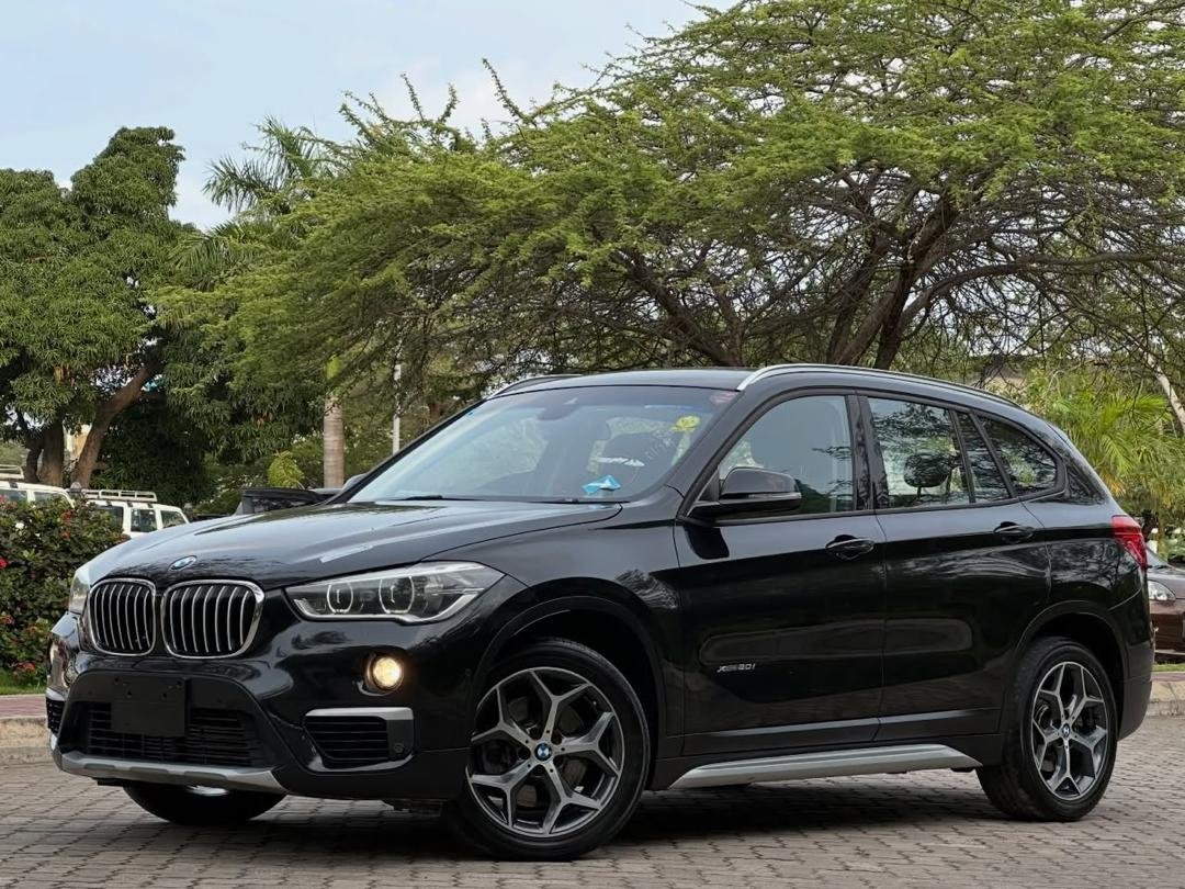 2016 BMW X1 Petrol