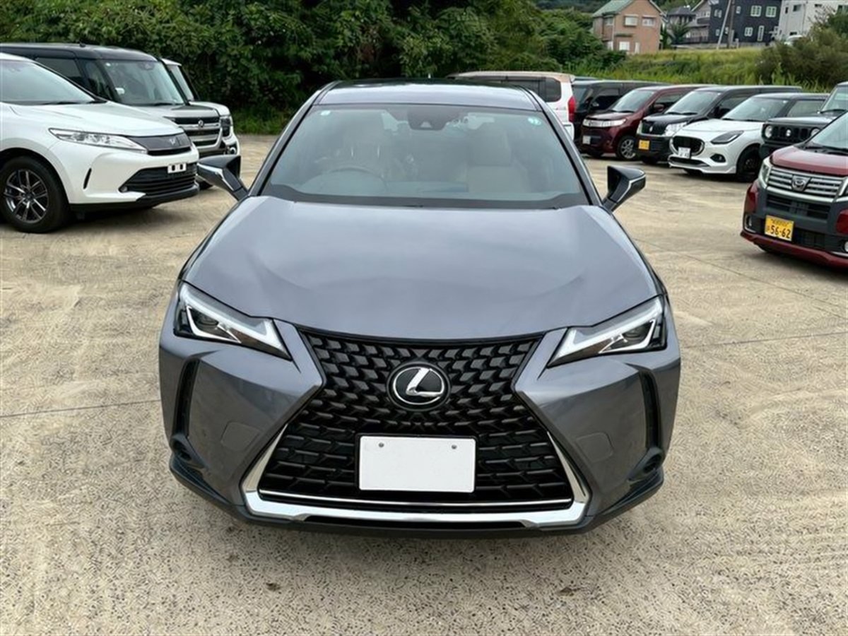 2018 Lexus UX
