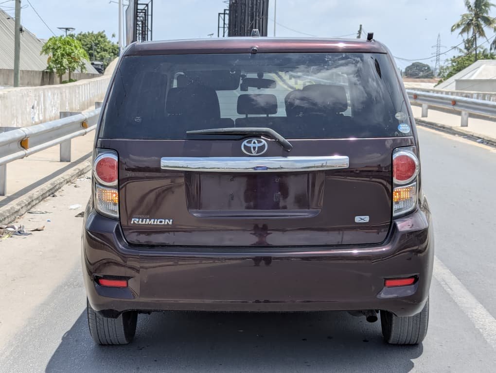 2010 Toyota RUMION