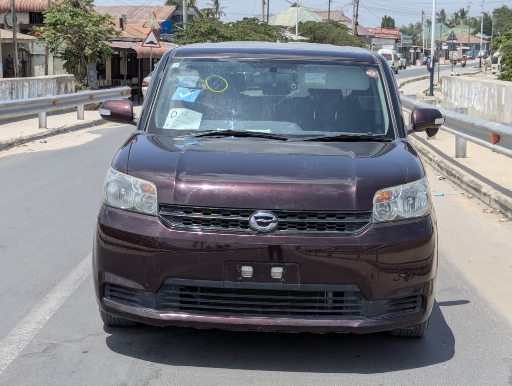 2010 Toyota RUMION