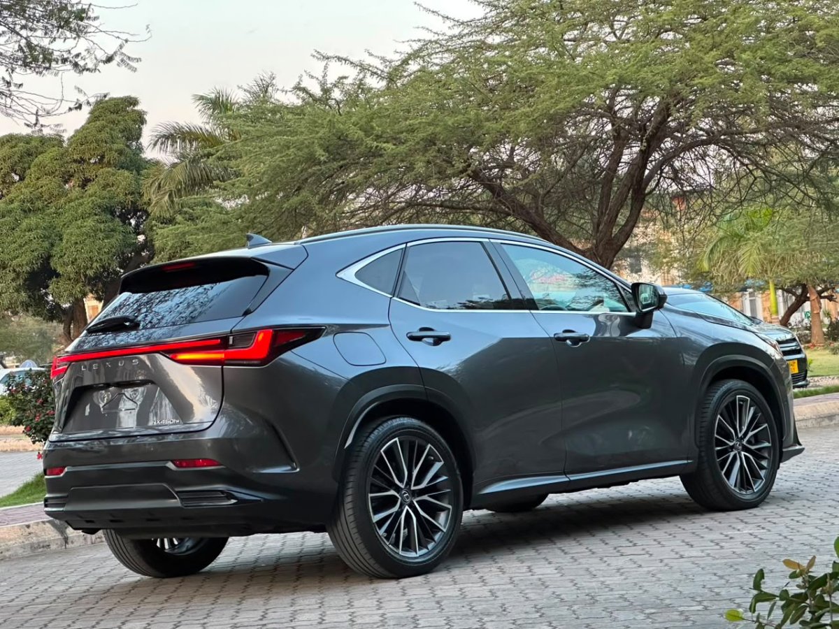 2022 Lexus NX