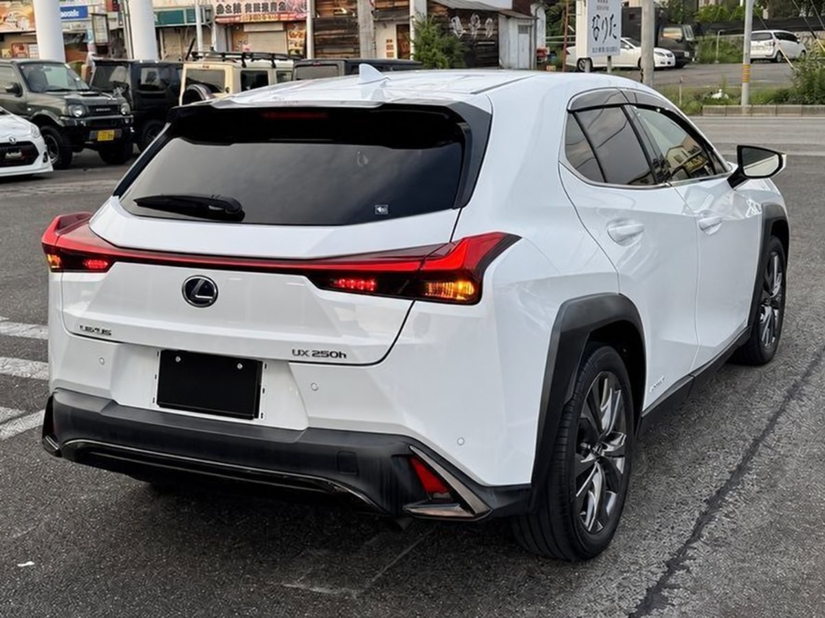 2019 Lexus UX