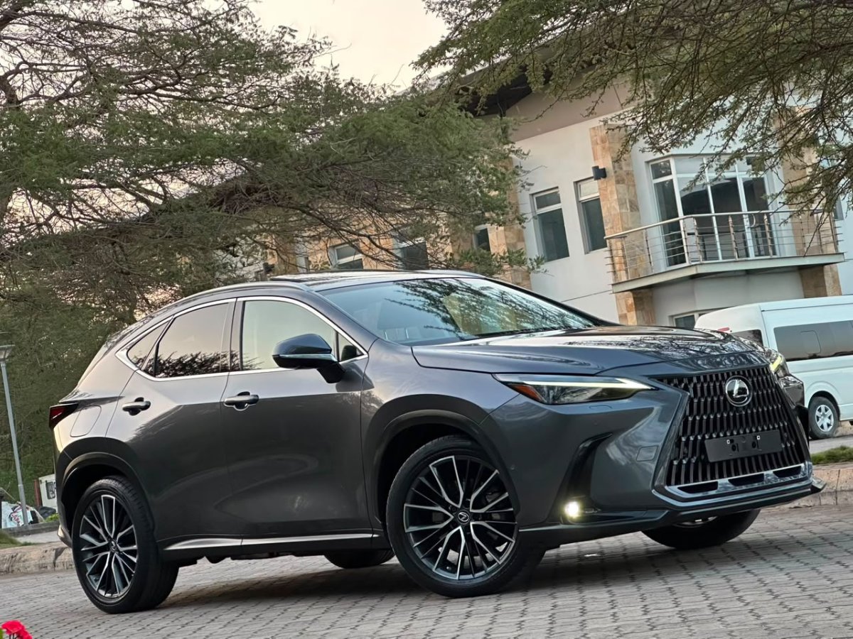 2022 Lexus NX