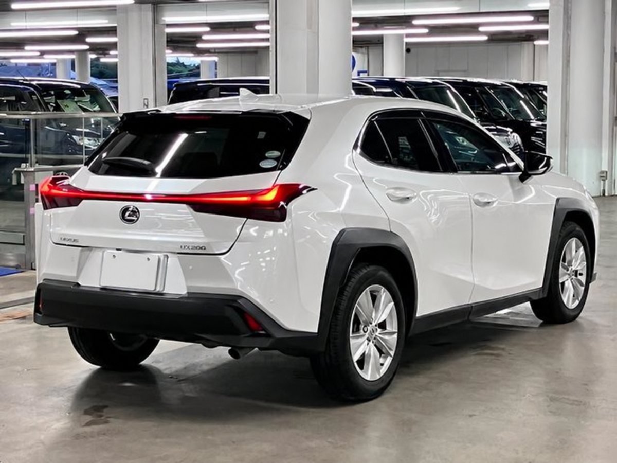 2019 Lexus UX