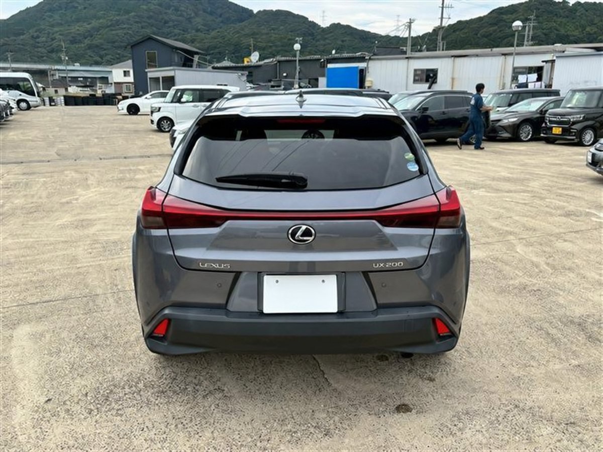 2018 Lexus UX