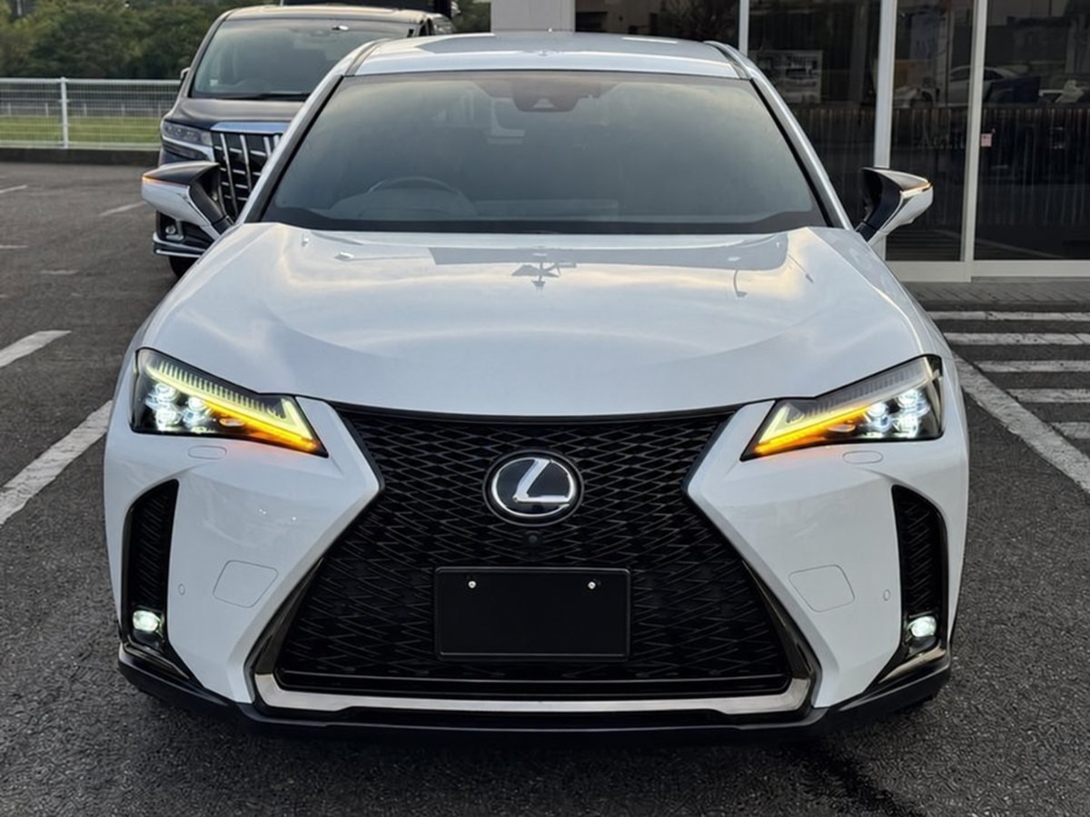2019 Lexus UX
