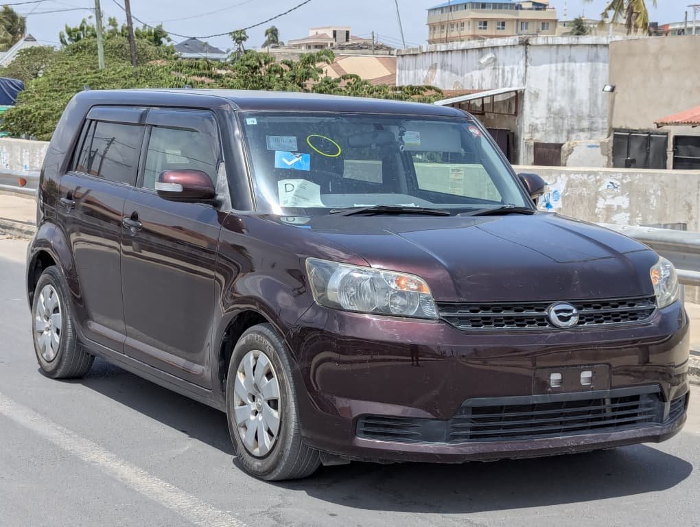 2010 Toyota RUMION