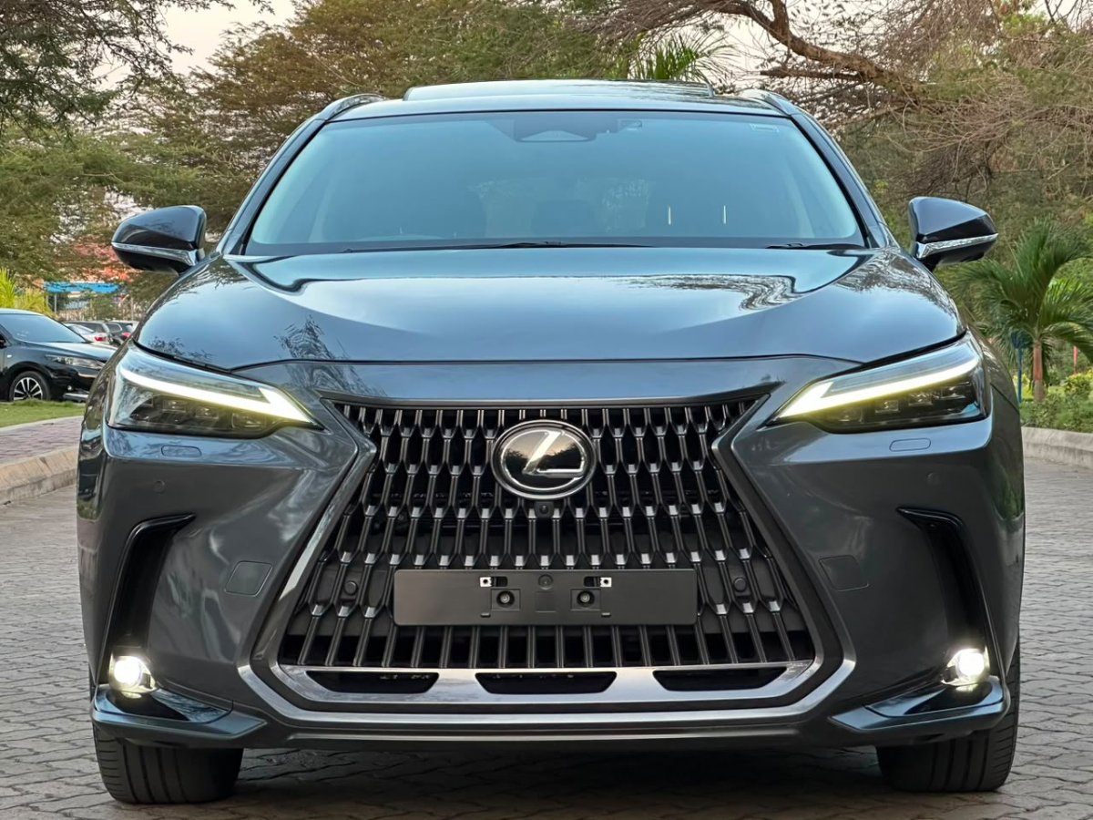 2022 Lexus NX