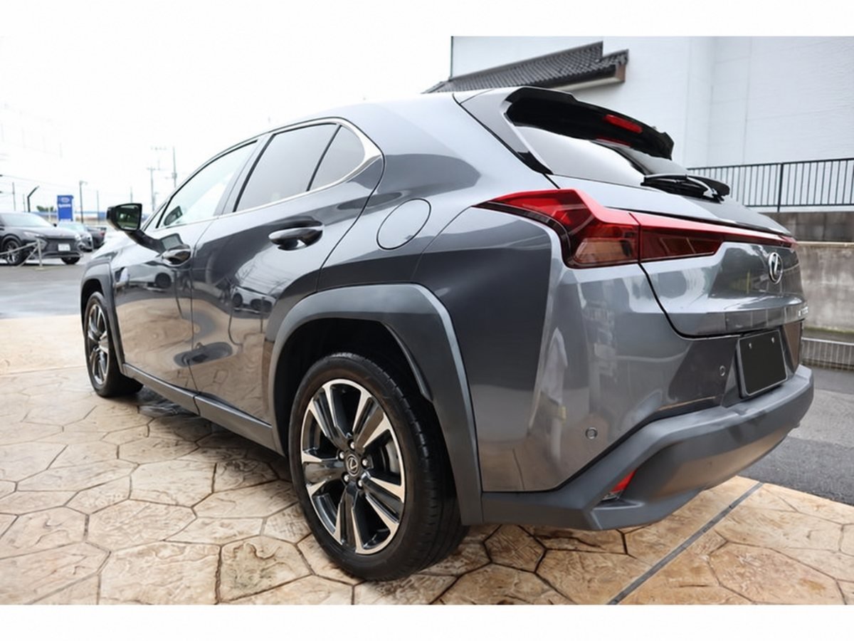 2024 Lexus UX