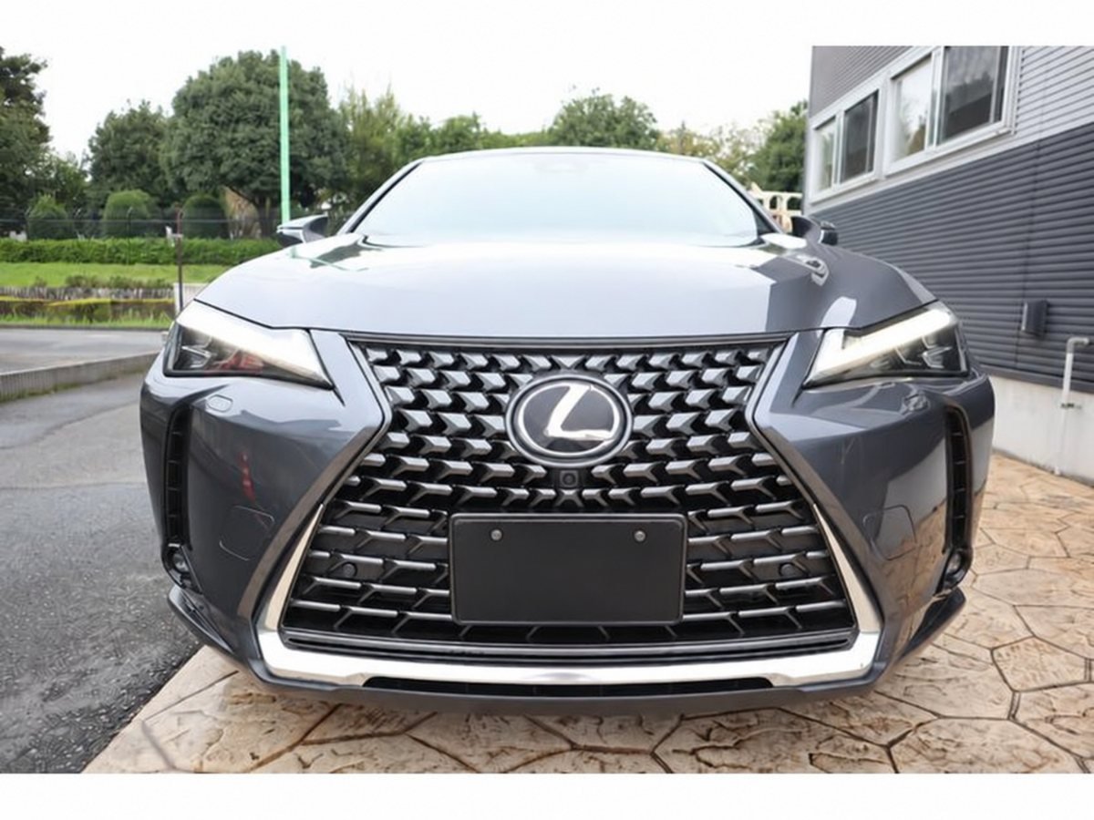 2024 Lexus UX