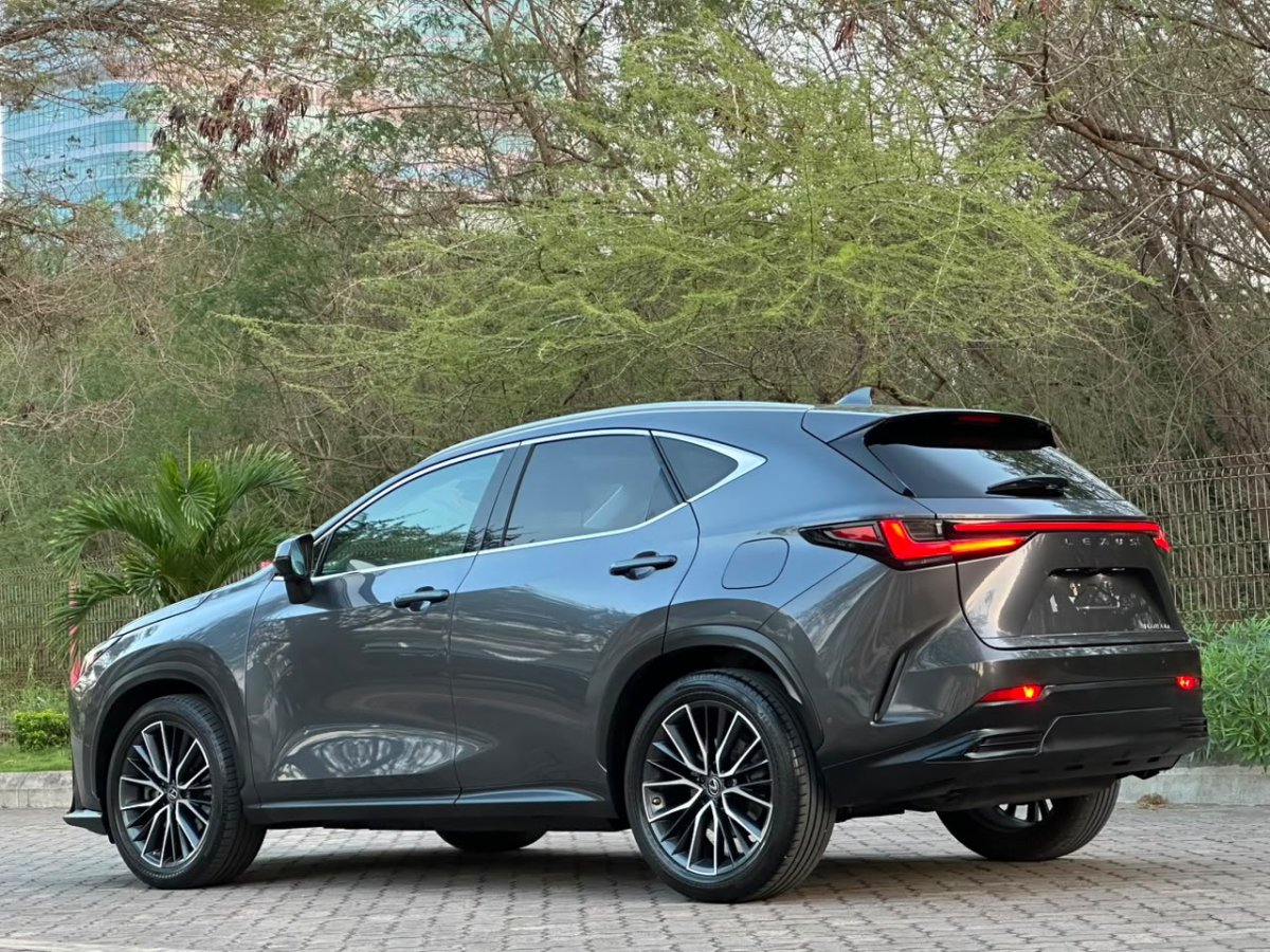2022 Lexus NX