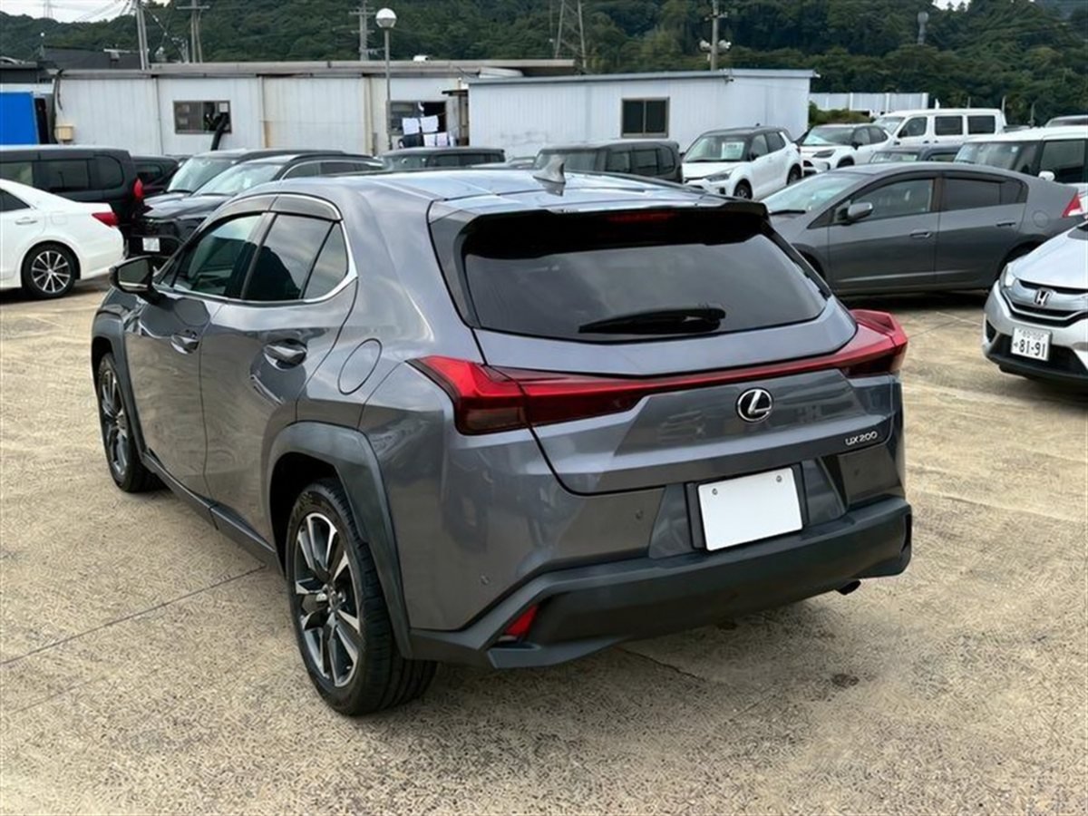 2018 Lexus UX