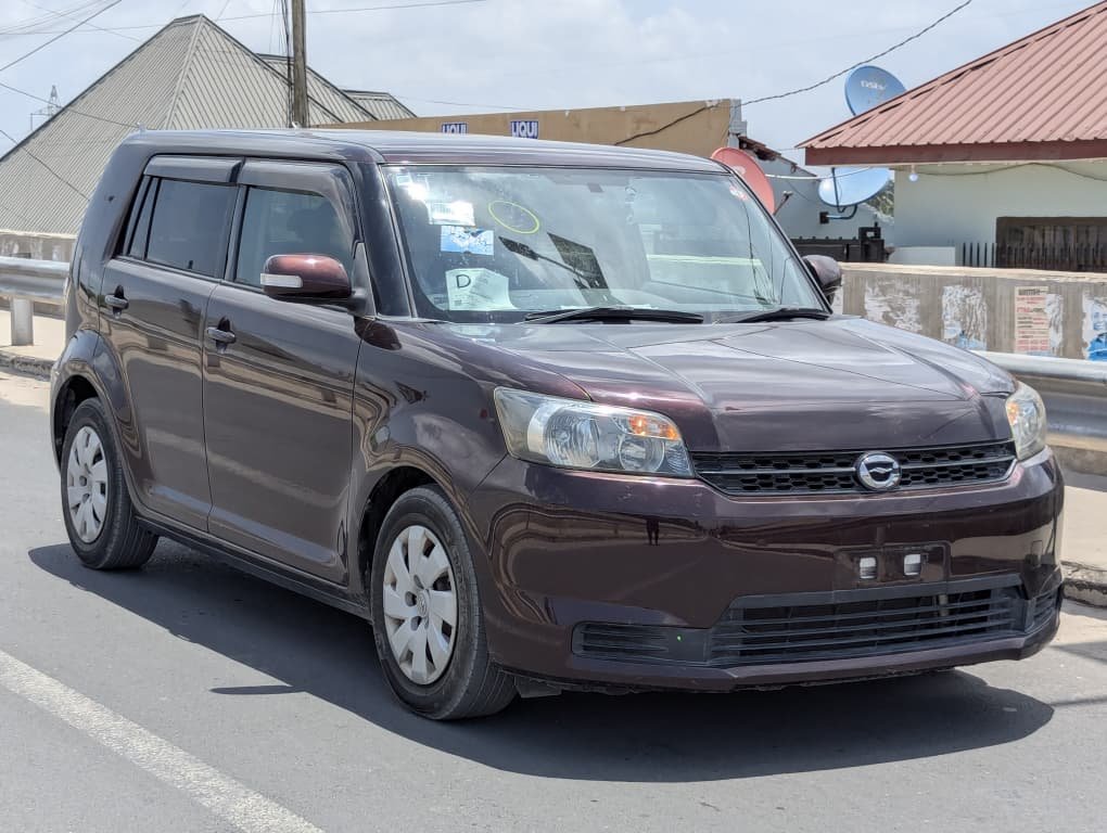 2010 Toyota RUMION