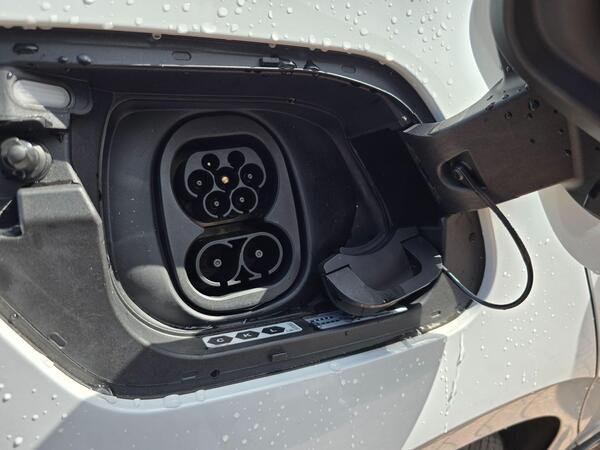 2026 CUPRA Born