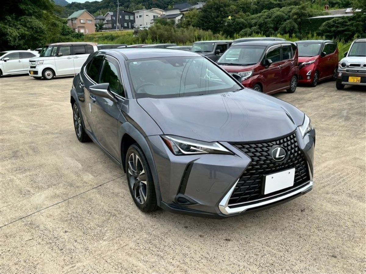 2018 Lexus UX