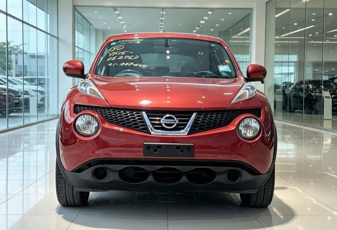 2012 Nissan JUKE