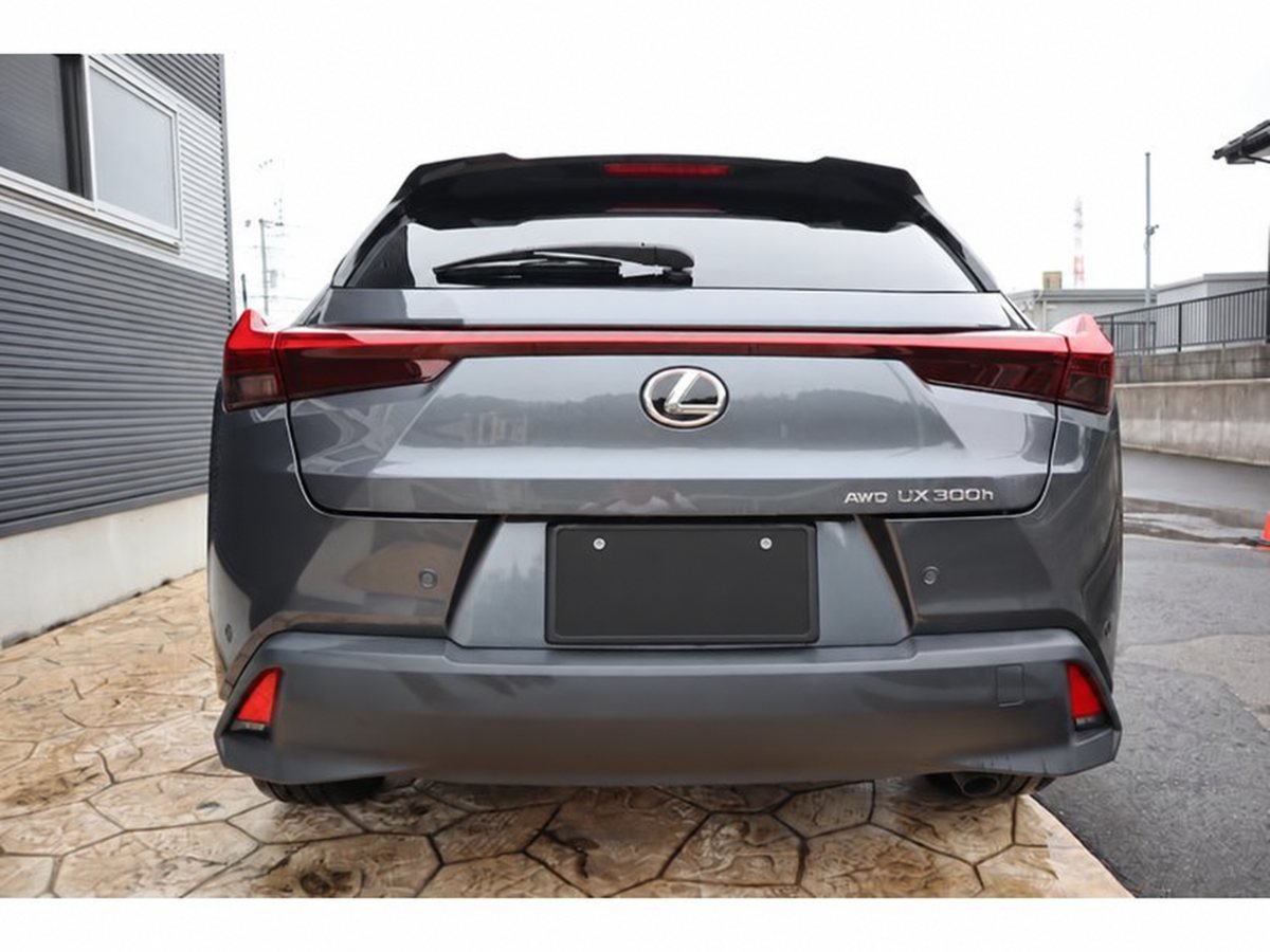 2024 Lexus UX